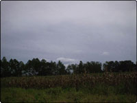 Dove Field Picture