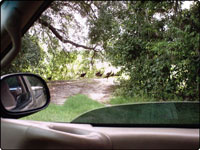 Dove Field Picture