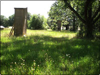 Dove Field Picture